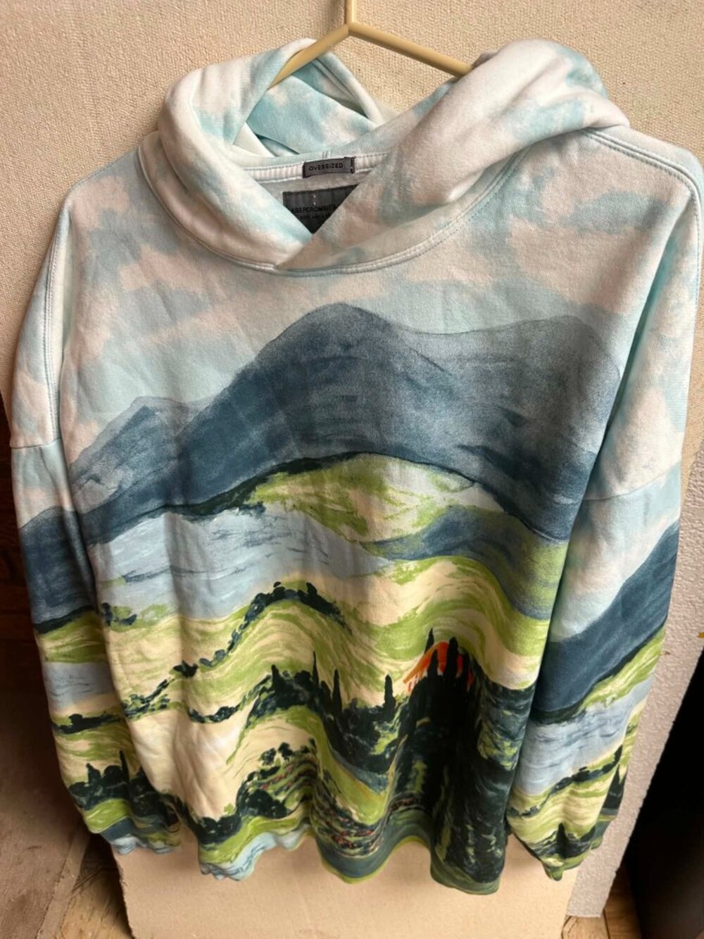 Abercrombie & Fitch landscape print hoodie